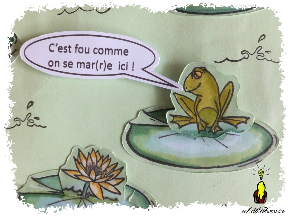 ART 2017 05 marre aux grenouilles 2