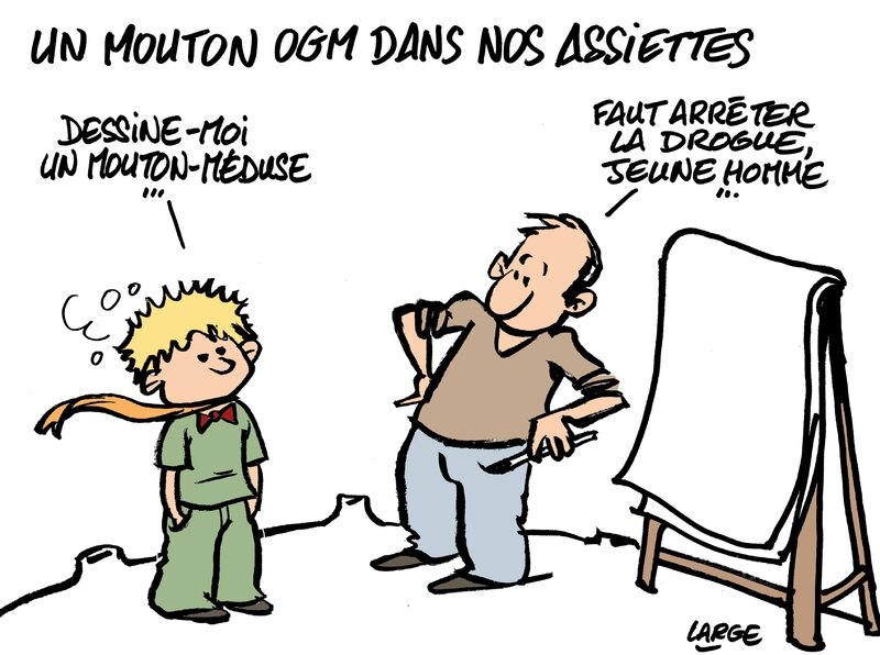 SO216_mouton