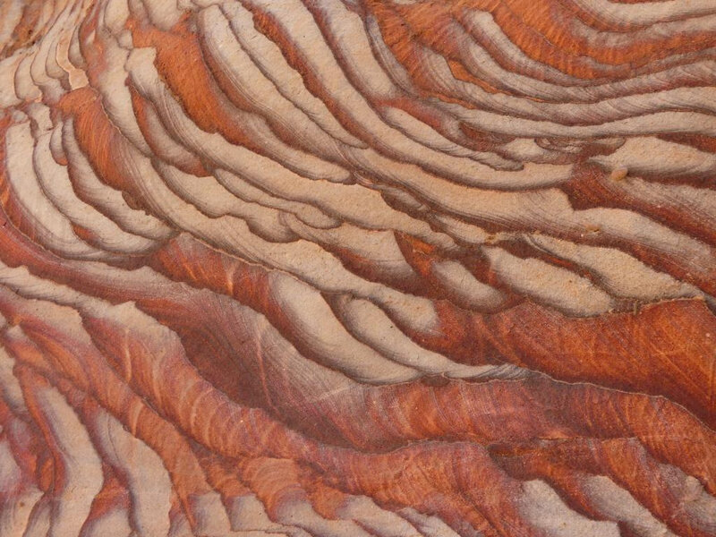 P1010281
