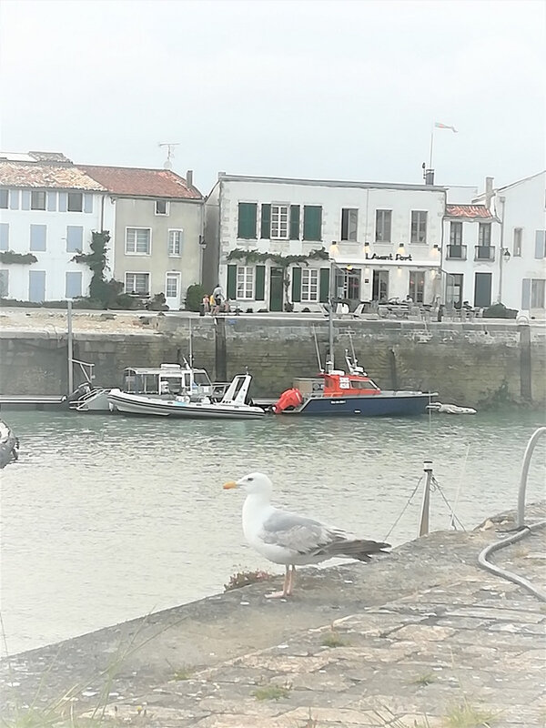 Suivre la Mouette