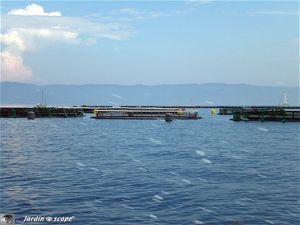 Aquaculture à Ajaccio