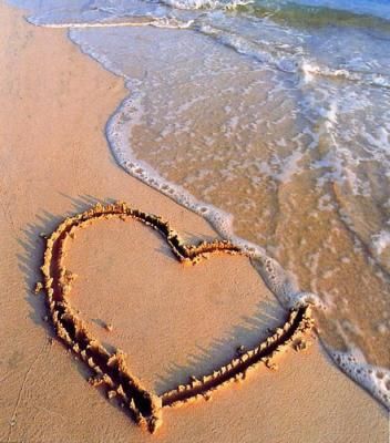 amour