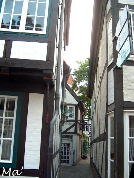 2008_breme-(6)