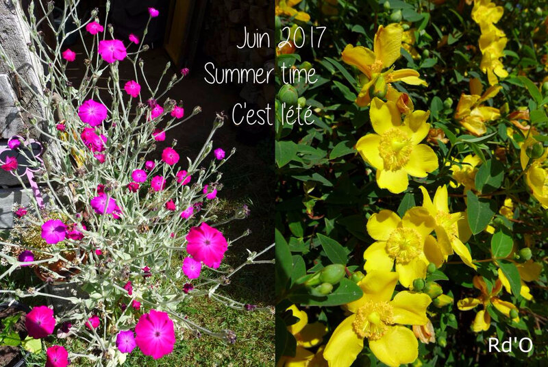 summer-2017-blog-00