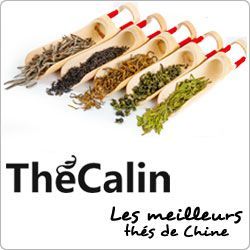 TheCalin2