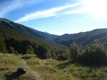 Nelson_Lakes_National_Park_085