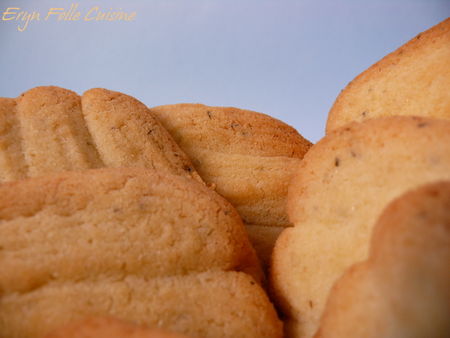 spritz_basilic_parmesan_pignons2