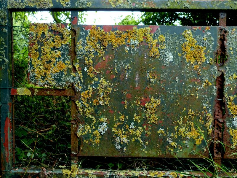 Couleur d'automne intro