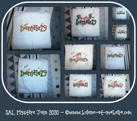danièle29_saljun20_col3