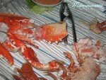 Homard_cuit_au_vivier_018