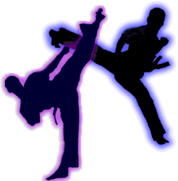 karate_kicks