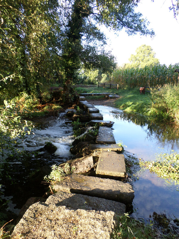 camino portugues 450