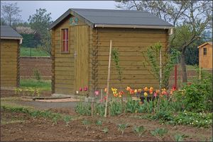 QM_cabane_jardin_240410