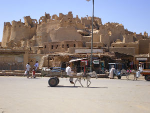 siwa4