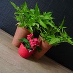 2012-06-006
