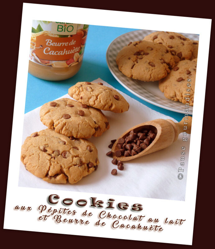 Cookies aux pépites de chocolat au lait et beurre de cacahuète (10)