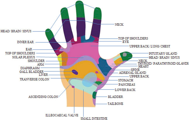 reflexology 1