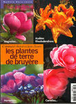 Plantes_terre_de_bruyere