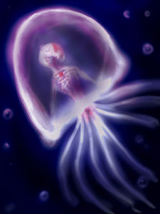 Anthro_Turritopsis_immortelle_canalblog_rusty