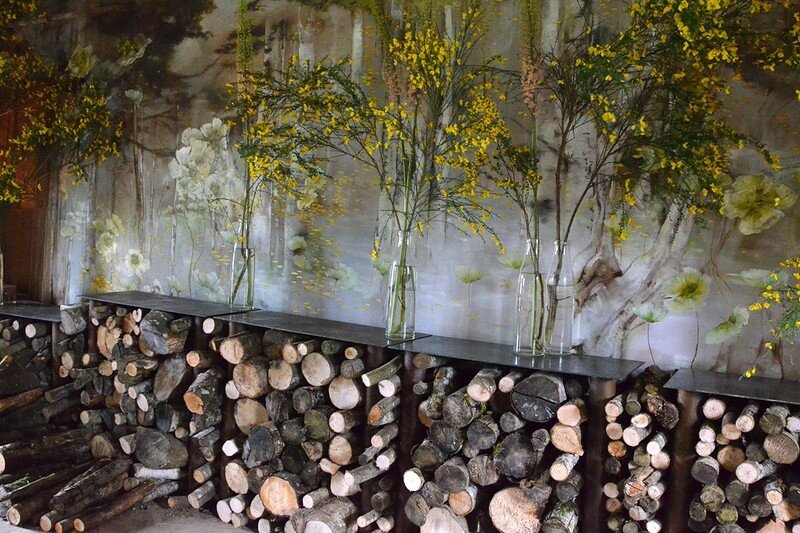 Claire Basler 004-001