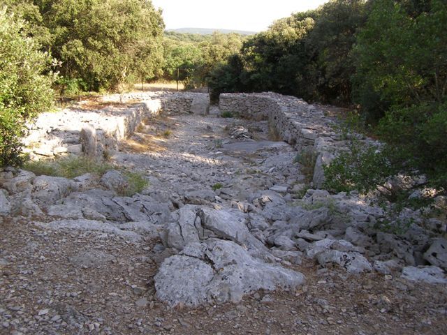 Site préhistorique de Cambous (8)