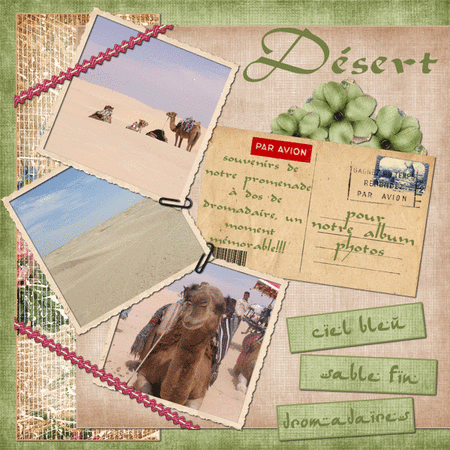 desert_dp1