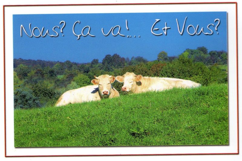 Toucy, par Céline