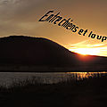 Entre chiens et loups