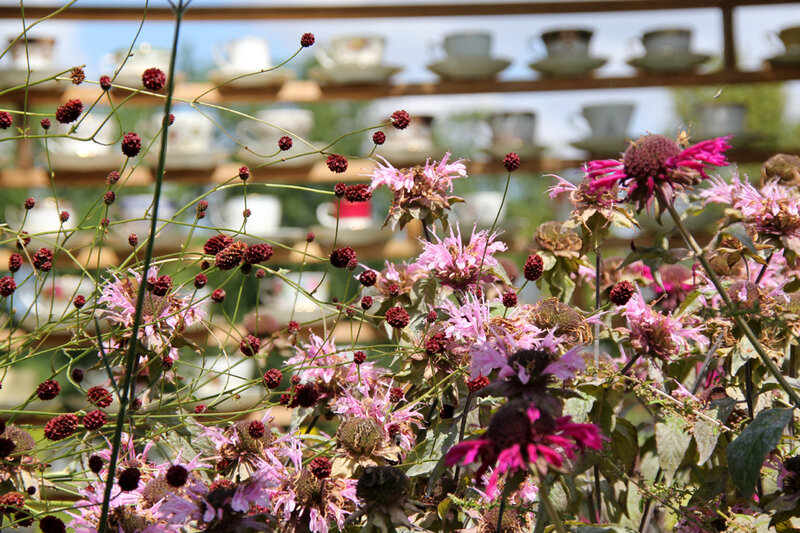 chaumont_jardin_BonTh_BonGenre_tasses