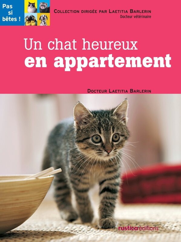 chat-heureux-appartement