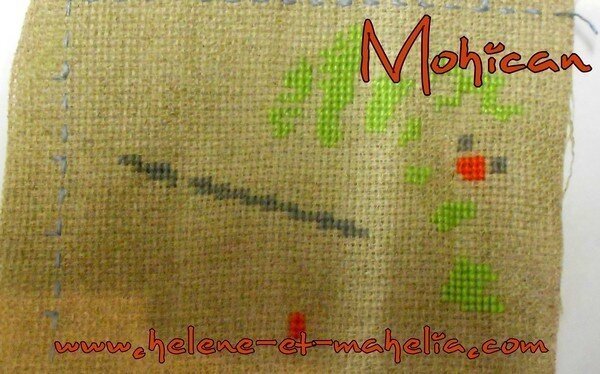 mohican_saljanv15_3