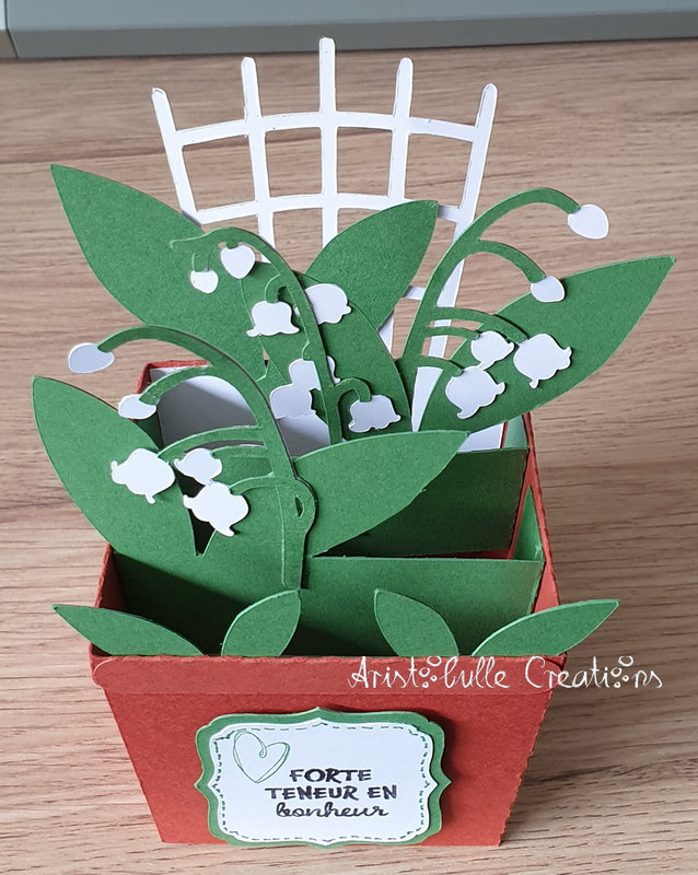 Card-in-a-box pot de muguet - 28 avr 22