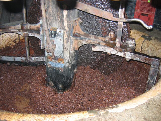 Olives_sous_la_meule