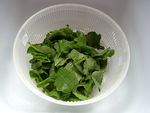 pesto__1_