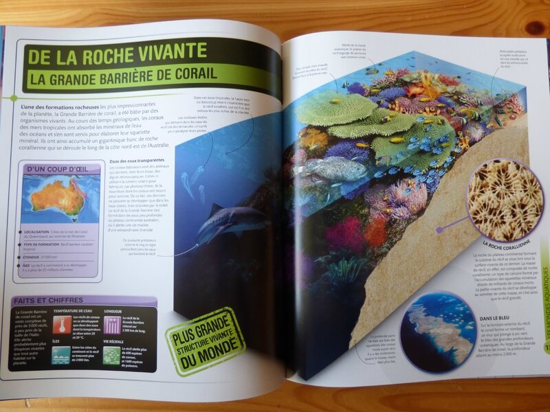 Incroyable Terre (3)