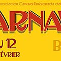 Carnaval Biarnes 2013 Pau - Programme carnaval <b>béarnais</b> - Du 6 au 12 février - Fête Pau - Costumes carnaval