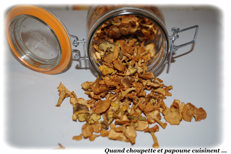 Chanterelles en tubes-8262