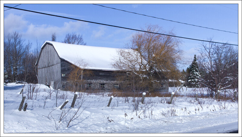 IMG_0900-1-2