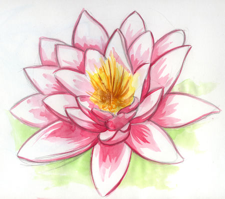 fleur_de_lotus