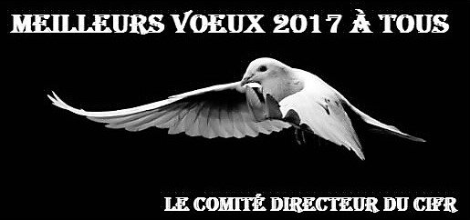 Meilleurs voeux 2017