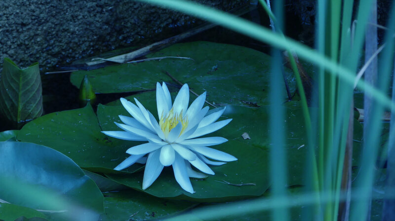 P1100033 (2)