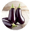 aubergine