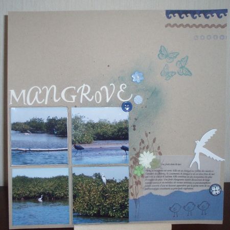 Mangrove__800x600_