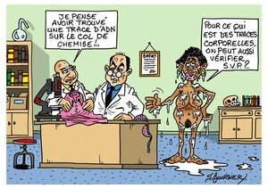 dsk tache adn COUL web