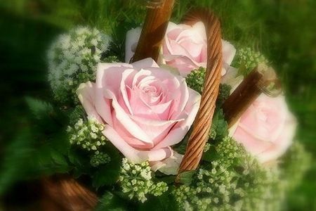 bouquet_roses_418925