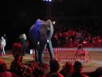 cirque_004