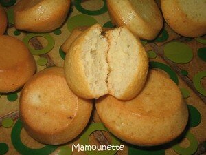 Petits_g_teaux_financiers_012