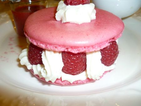 Macaron framboises chantilly (22)