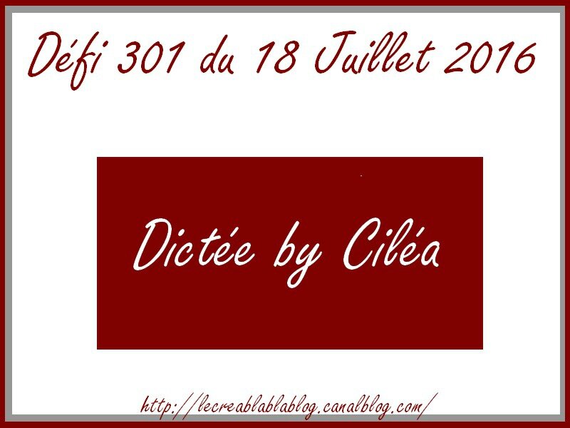 Défi 301