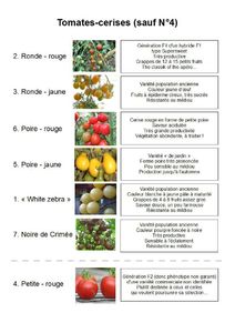 descriptif tomates